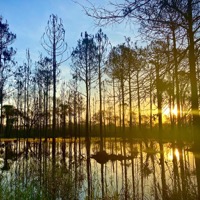 Hiking in my local parks