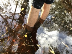 Wet trail